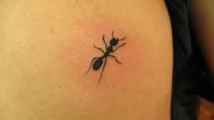 Ant Design Symbolism And Meaning In The Tattoo Culture