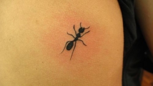 Ant Tattoo at Rs 007piece  Animal Tattoos in Mumbai  ID 2547358891